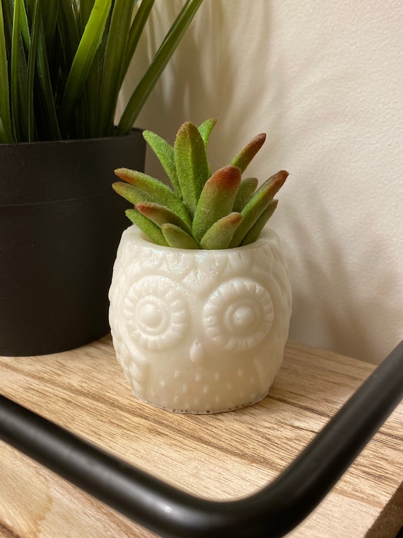 Adorable owl planter 2.5x3 inches made of cast white resin with chunky holographic glitter accent