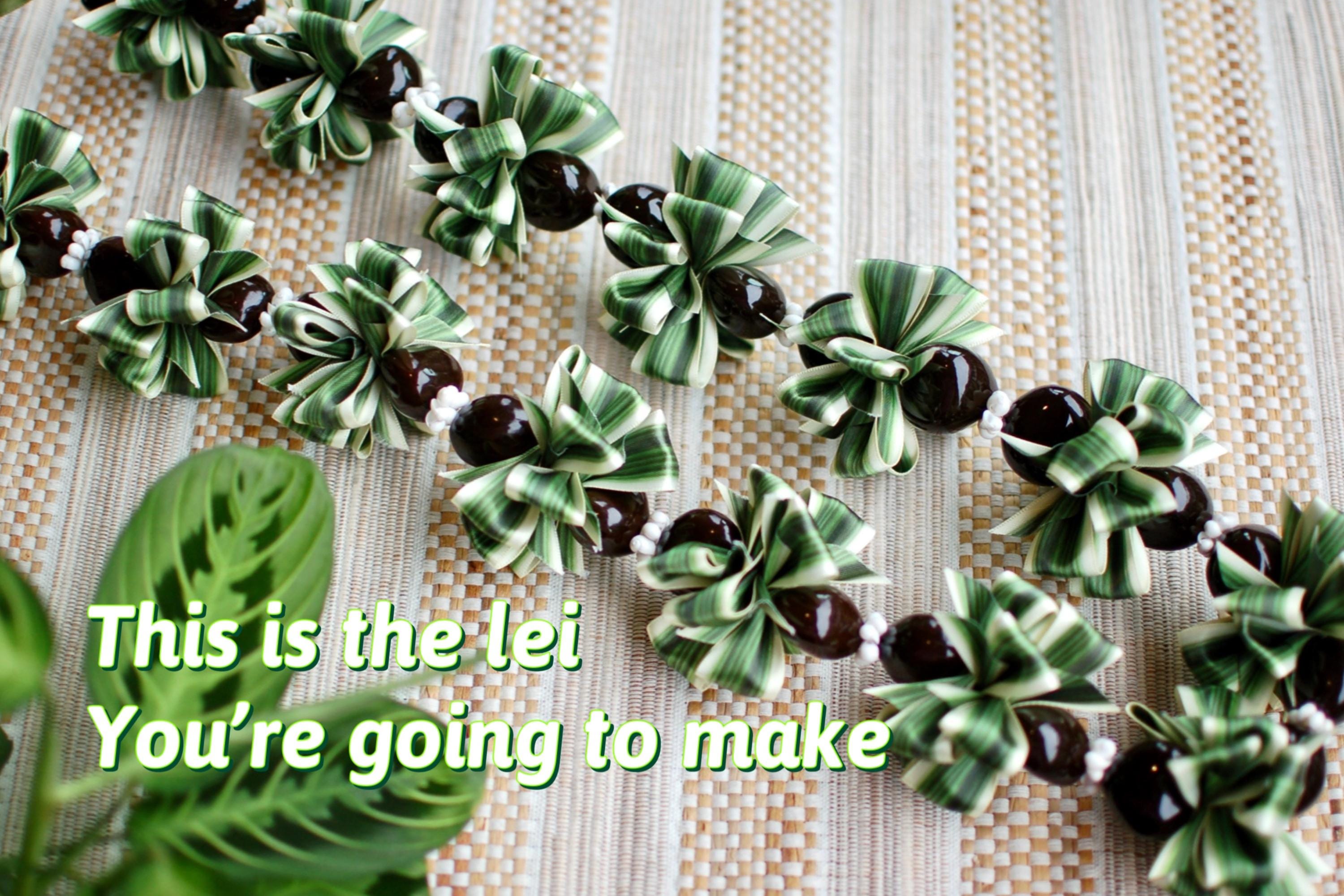 Shell Ribbon Lei DIY Song of India Ti Leaf Ribbon Lei Kit With Kukui Nuts and Shells ...