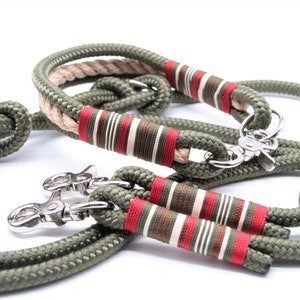 Dog leash dog collar dog leash adjustable olive