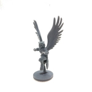 3D printed Owlcokra Monk miniature, D&D, 3D printed custom figure, resin tabletop gaming miniature