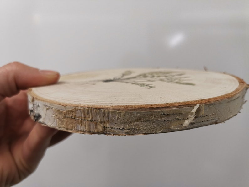 With Fern Plant Print Birch Wood Slice 16-19cm x 1.5cm