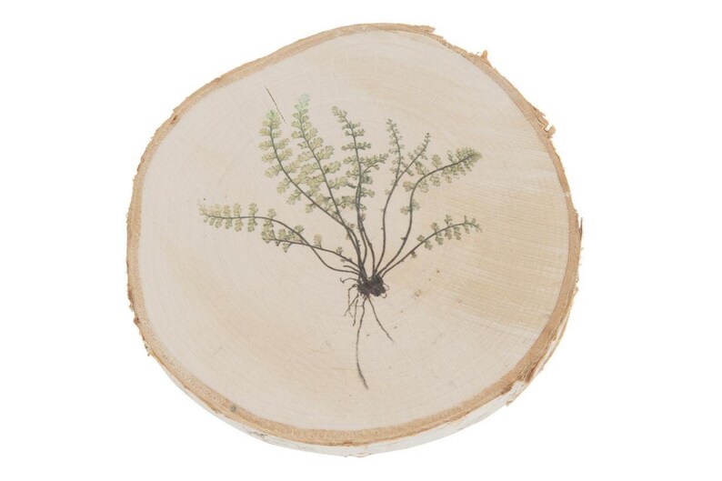 With Fern Plant Print Birch Wood Slice 16-19cm x 1.5cm