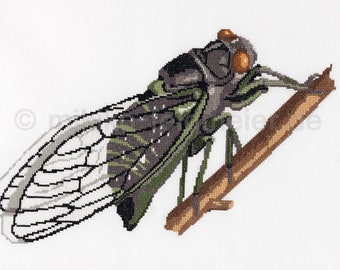 Embroidery Cicada