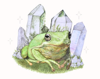 Magic Frog A5 Print - Crystals - Hand Drawn Pencil Drawing Print - Landscape - Home Decor - Frog Lover Art - Room Art