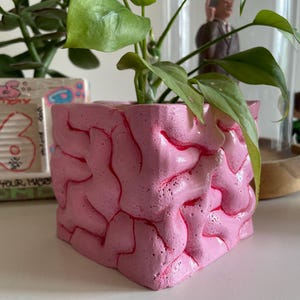Può includere: Un vaso rosa a forma di cervello con un contorno rosso, contenente una pianta verde a foglie. Il vaso è quadrato e ha una superficie strutturata. Un'altra pianta in un vaso decorato è visibile sullo sfondo.