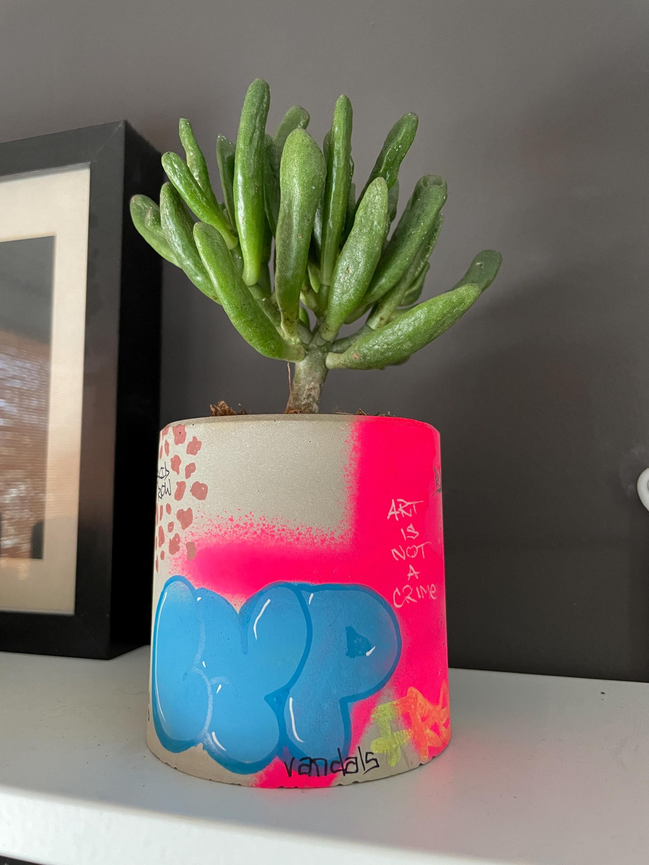 Graffiti Planters - Etsy