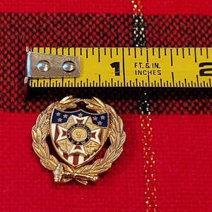 Puede incluir: Pin de color dorado con un escudo rojo, blanco y azul con una estrella en el centro. El escudo est&aacute; rodeado por una corona de hojas doradas. El texto "Ladies Auxiliary VFW" est&aacute; en el escudo. El pin tiene aproximadamente 1 pulgada de di&aacute;metro.