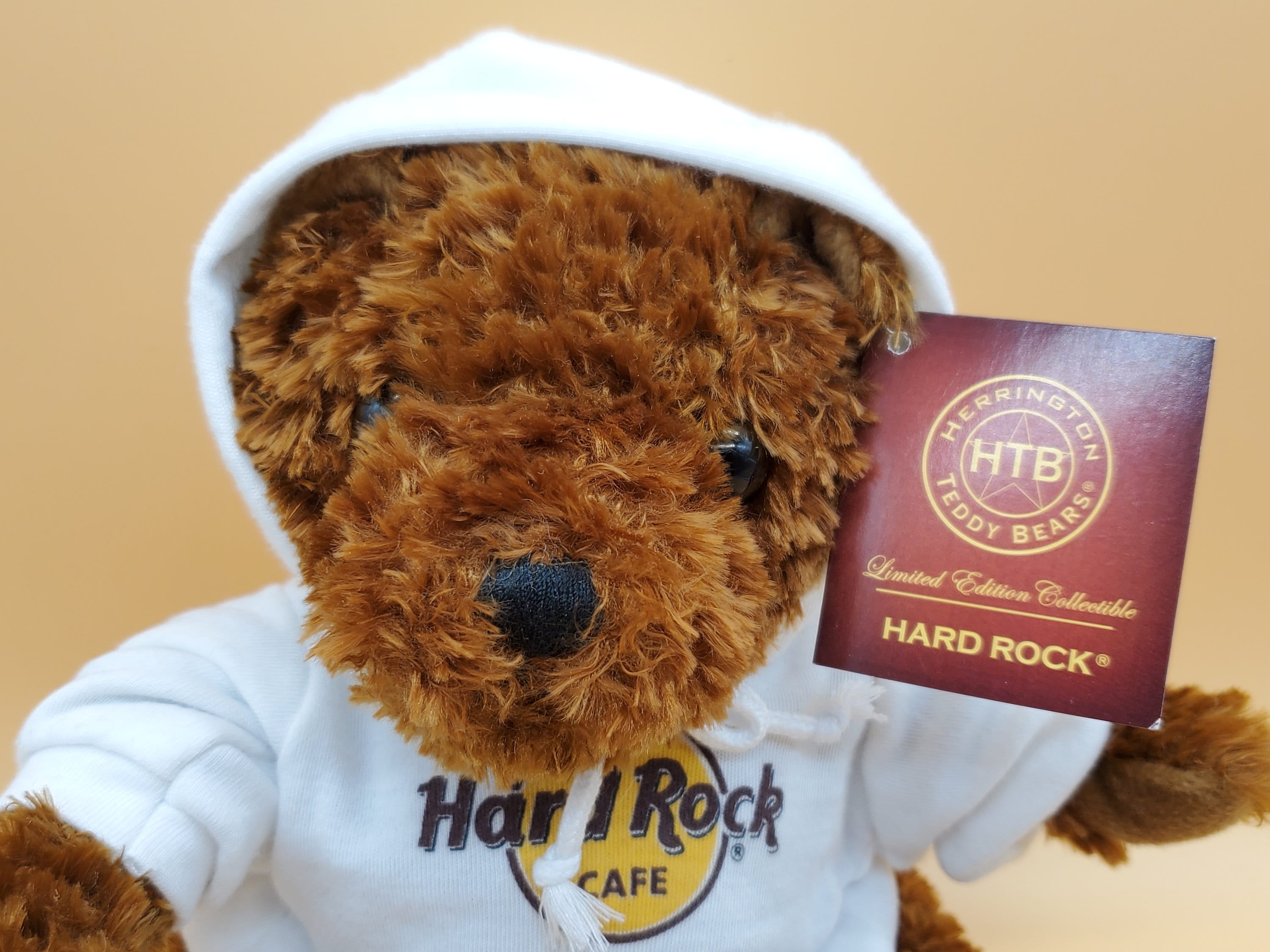 Hard Rock Cafe Amsterdam Plush Bear in Hoodie - Etsy