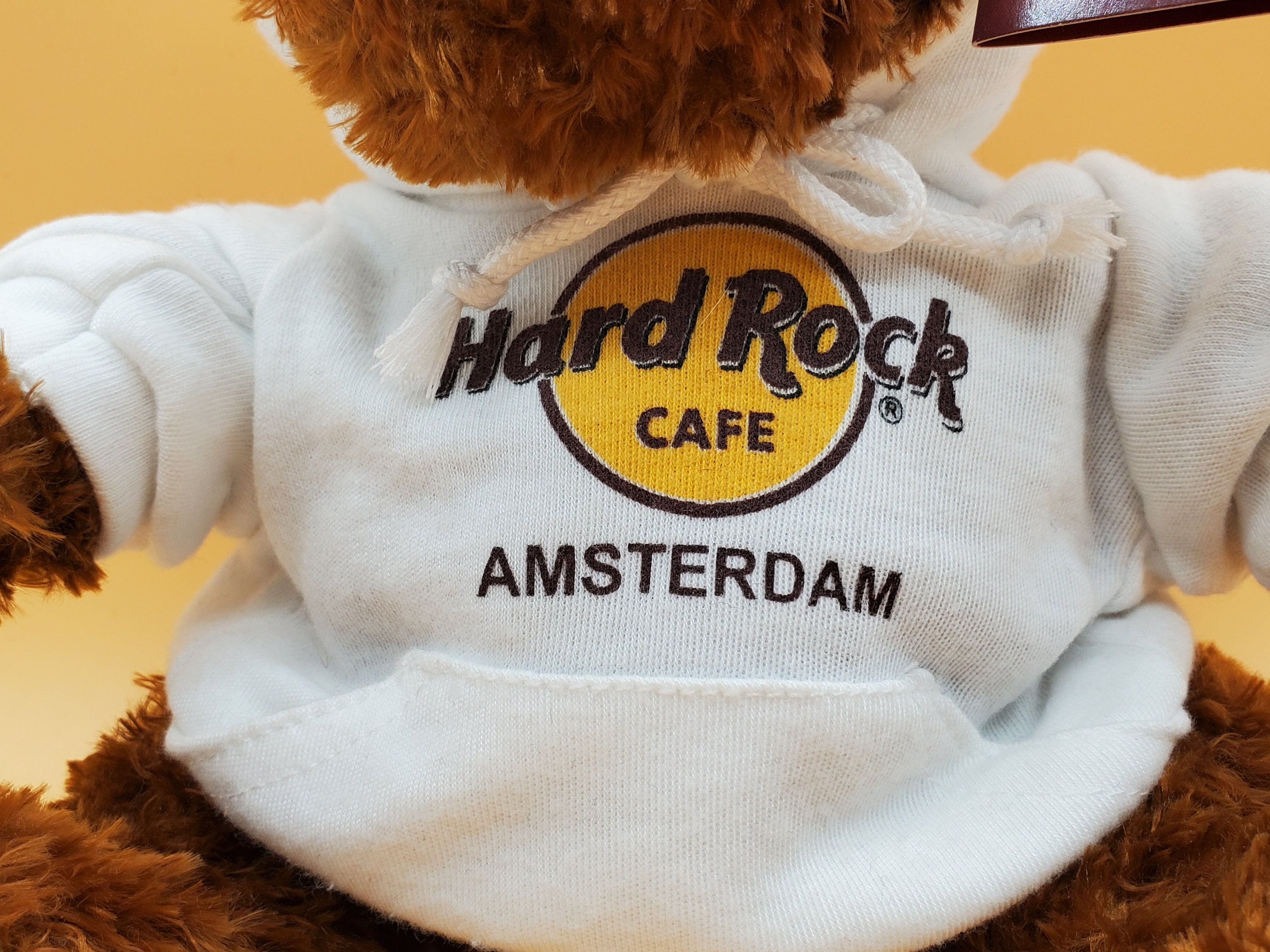 Hard Rock Cafe Amsterdam Plush Bear in Hoodie - Etsy