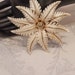 see more listings in the broche / broches section