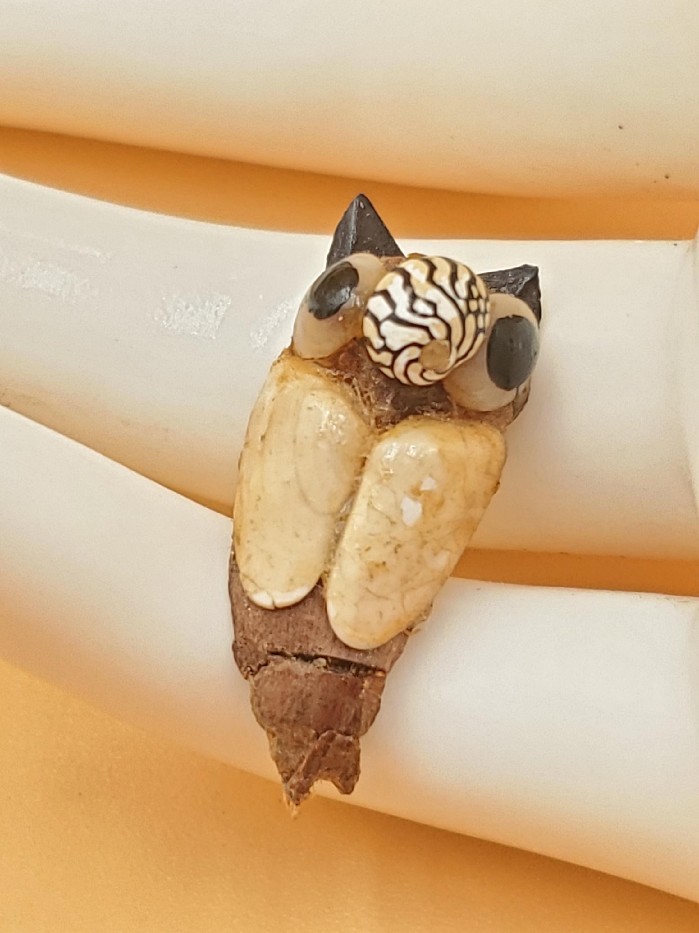 vintage tropical souvenir handmade natural elements Owl pin, seashell owl pin