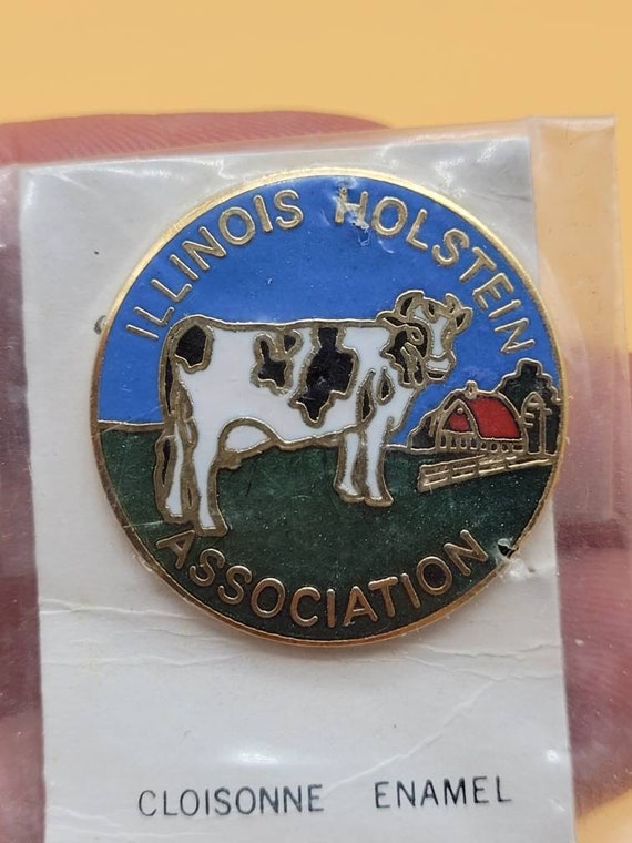 Vintage Illinois Holstein Association cloisonne en