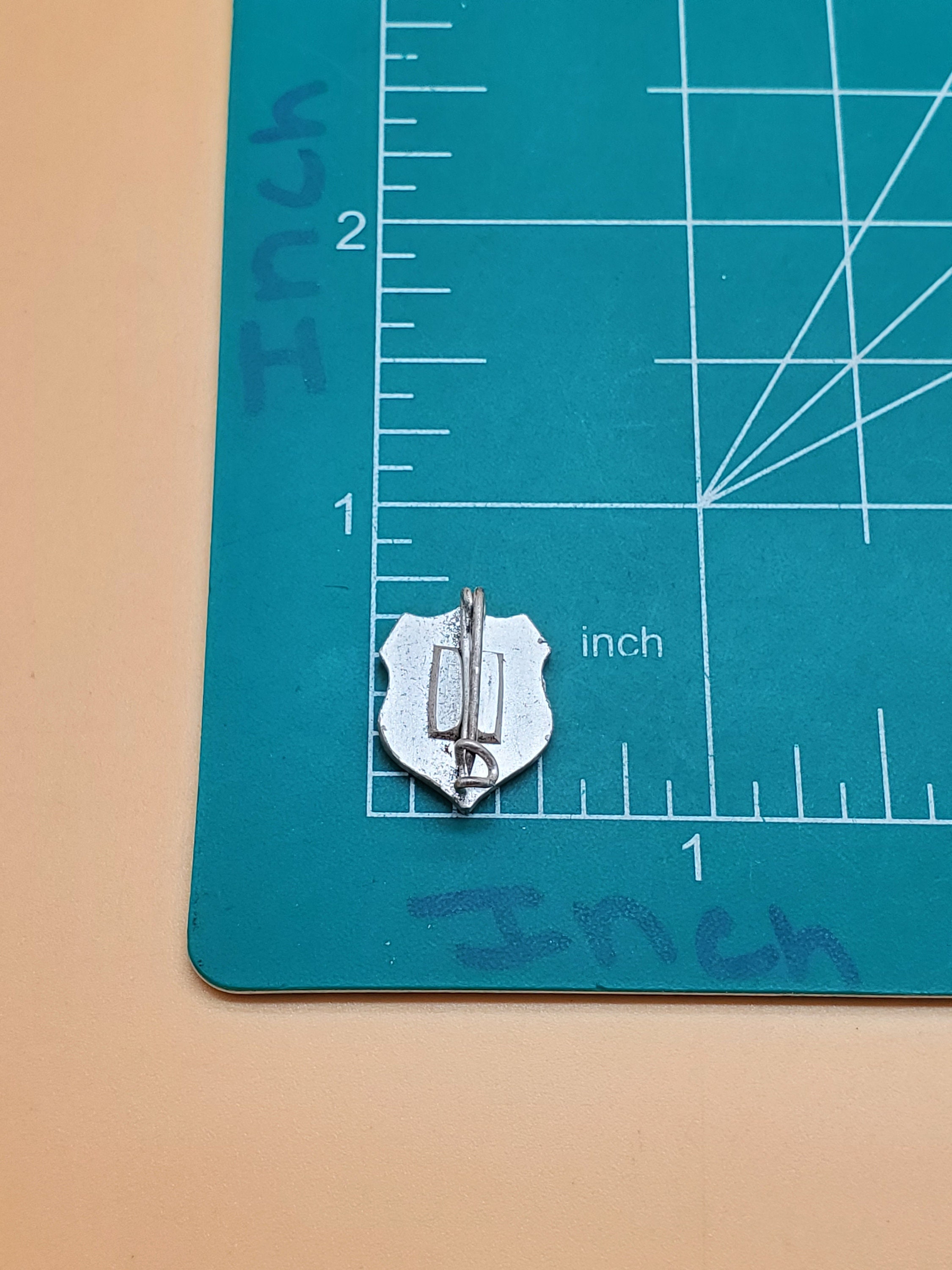 Vintage SCHWEIZ Shield Pin - Etsy