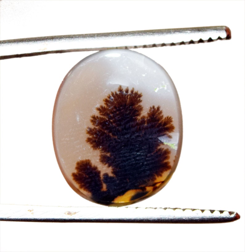 14.10*8.90 mm Top Quality Dendrite Agate or Indian Shazar Unique Piece Oval Cut for Jewelry and Ring Making Certified Gemstone