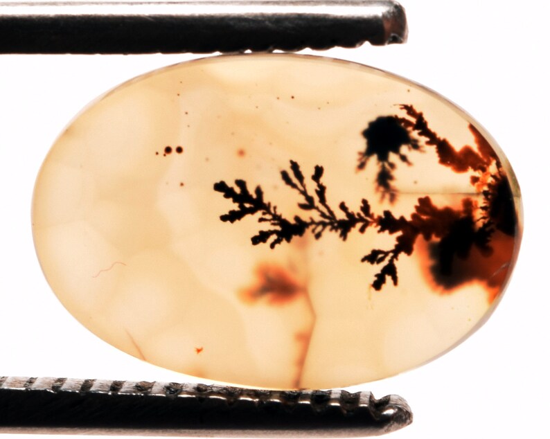 14.10*8.90 mm Top Quality Dendrite Agate or Indian Shazar Unique Piece Oval Cut for Jewelry and Ring Making Certified Gemstone