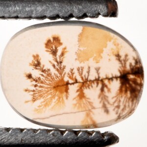 14.10*8.90 mm Top Quality Dendrite Agate or Indian Shazar Unique Piece Oval Cut for Jewelry and Ring Making Certified Gemstone