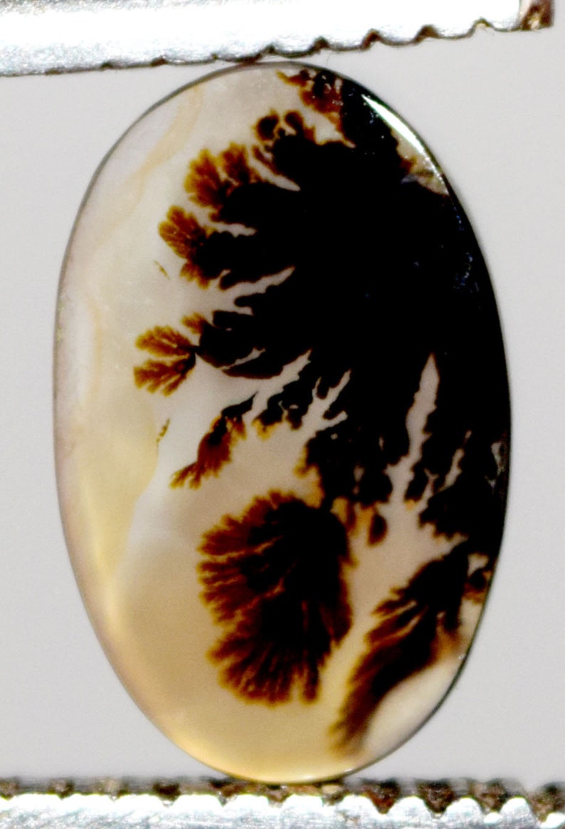 14.10*8.90 mm Top Quality Dendrite Agate or Indian Shazar Unique Piece Oval Cut for Jewelry and Ring Making Certified Gemstone