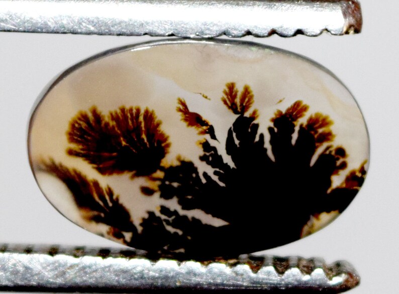 14.10*8.90 mm Top Quality Dendrite Agate or Indian Shazar Unique Piece Oval Cut for Jewelry and Ring Making Certified Gemstone