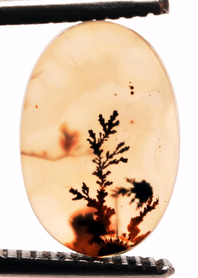 14.10*8.90 mm Top Quality Dendrite Agate or Indian Shazar Unique Piece Oval Cut for Jewelry and Ring Making Certified Gemstone