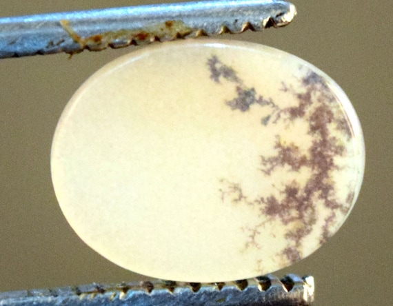 14.10*8.90 mm Top Quality Dendrite Agate or Indian Shazar Unique Piece Oval Cut for Jewelry and Ring Making Certified Gemstone