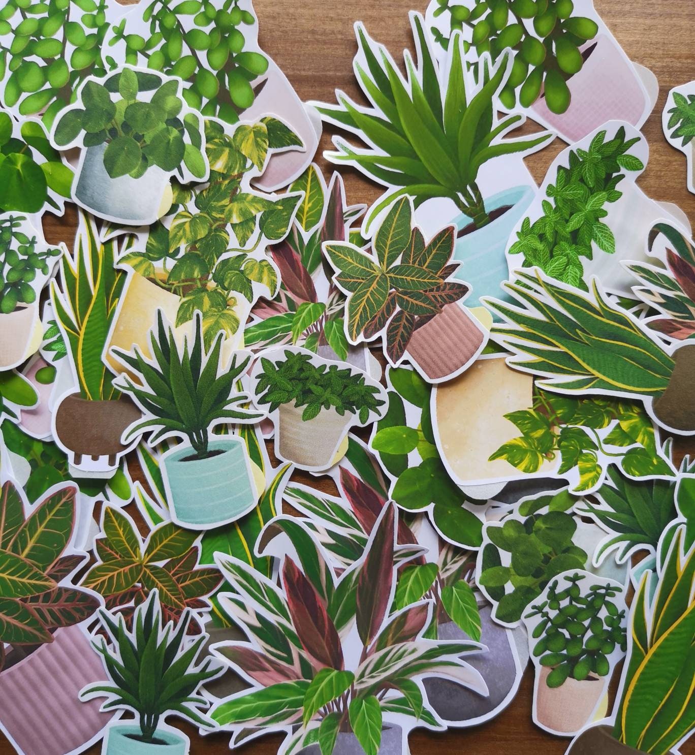 Pack of 8 House Plant Stickers Matte or Glossy Easy Peel Etsy
