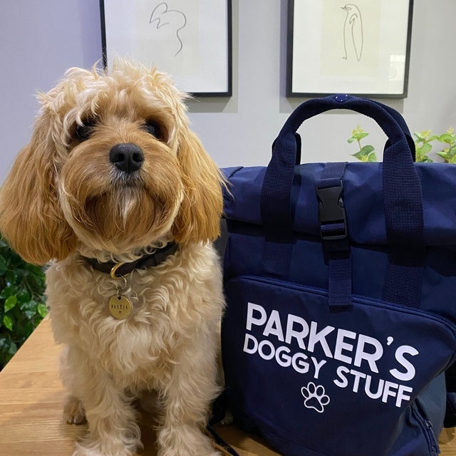 Service dog backpack 2025