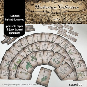 Healing Herbal Cards VOLUME 3, Ephemera Classics, Printable Images, Vintage Art, Instant Download, Digital Collage, Medicinal Herbs