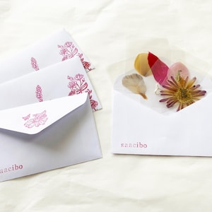 Spécimens floraux séchés, pressés et plastifiés - Lot de 5 spécimens dans 1 enveloppe