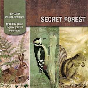 Collection forêt secrète, Images imprimables, Téléchargement instantané, Kit Digi, Fougères, Champignon, Lapin, Écureuil, Pic, Oiseau
