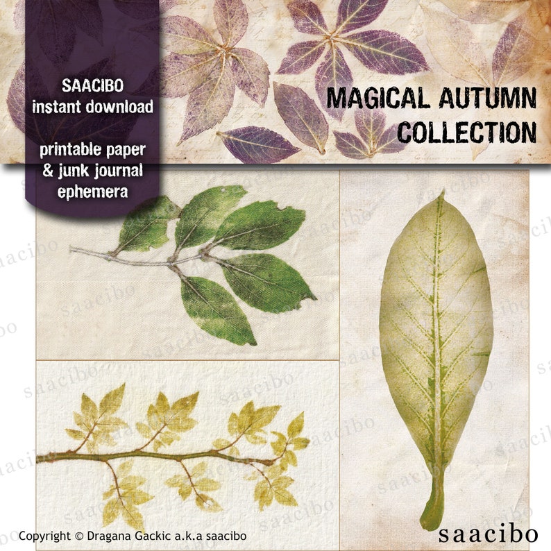 Magical Autumn Collection, Printable Images, Instant Download, Digi Kit, Plants, Trees, Leaves, Eco Prints image 8
