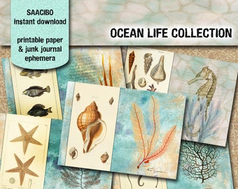 Ocean Life Collection, Nautical Themed, Sea Creatures, Printable Images, Instant Download, Digi Kit, Digital Papers