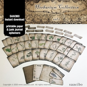 Healing Herbal Cards VOLUME 2, Ephemera Classics, Printable Images, Vintage Art, Instant Download, Digital Collage, Medicinal Herbs
