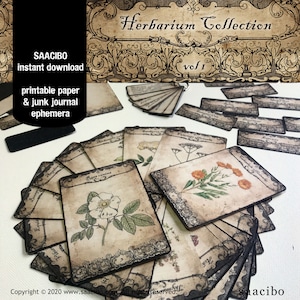 Tarjetas de hierbas curativas VOLUMEN 1, Efímeras clásicas, Imágenes imprimibles, Arte antiguo, Descarga instantánea, Collage digital, Hierbas medicinales