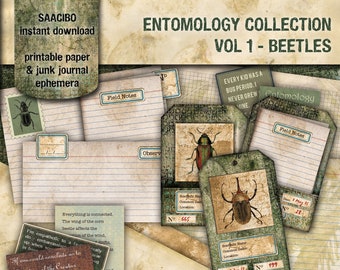 Beetle Specimen Cards, Printable Entomology Collection (Digital Download)