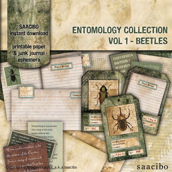 Entomology Collection,  VOL 1, Beetles, A4  format, Specimen Cards, Printable Images, Instant Download, Digi Kit