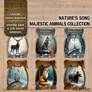 Colección de canciones de la naturaleza: animales majestuosos, formato A4 y carta, imágenes imprimibles, descarga instantánea, kit digital, bosque, naturaleza, serenidad