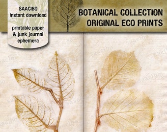 Botanische Sammlung, Original Eco Prints, druckbare Bilder, Sofort Download, Digi Kit, Pflanzen, Bäume, Blätter