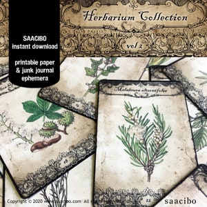 Healing Herbal Cards VOLUME 2, Ephemera Classics, Printable Images, Vintage Art, Instant Download, Digital Collage, Medicinal Herbs