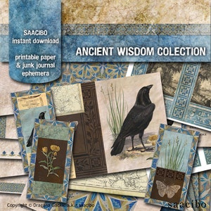 Collezione di saggezza antica, Immagini stampabili, Download istantaneo, Kit Digi, Corvo, Mandala, Boho, Modello marocchino