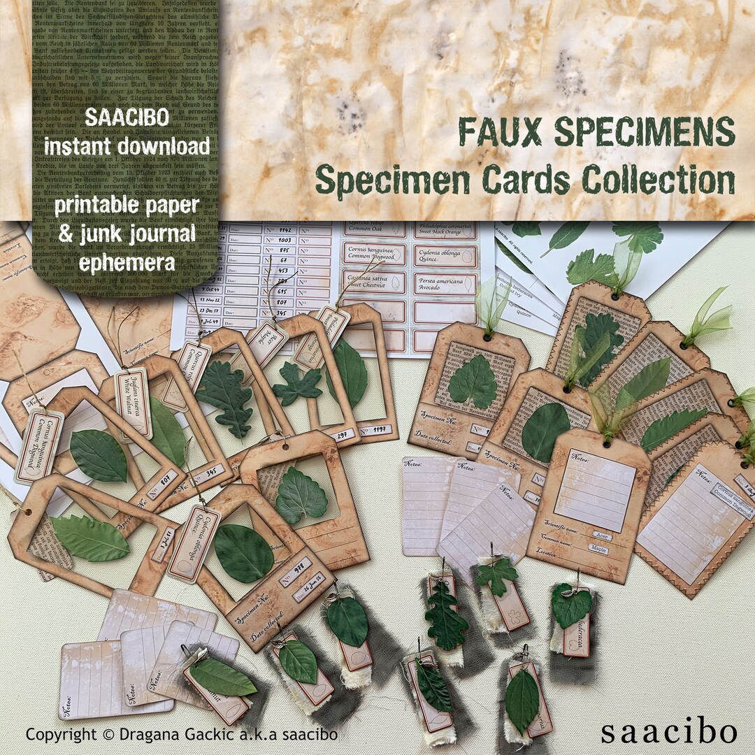Faux Specimens, Specimen Cards Collection, Eco Dyed Papers, Printable