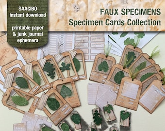 Faux Specimen Cards Collection, Eco Dyed Printable Art (Digital Download)