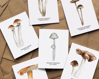 Magic Mushroom Cards Box Set, Mushroom Greeting Cards, Assorted Box Set, Stationery, Notecards, Fungi, Psychedelic