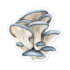 Blue Oyster Mushroom Sticker, Fungi, Mushrooms, Foraging, Forest, Mushroom Gift, Cute Mushroom Sticker