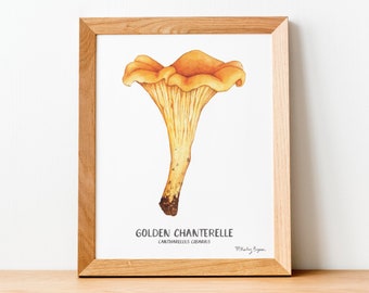 Chanterelle Mushroom Watercolor Art Print, Mushroom Painting, Mushroom Wall Art, Kitchen Decor, Garden Decor, Kitchen Art Print, Foraging