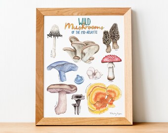 Mushrooms Watercolor Art Print, Mushroom Painting, Kitchen Decor, Foraging, Food Art, Nature Illustration, Edible Mushrooms, Forest, Fungi