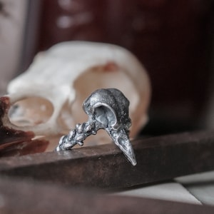 May include: A silver ring with a detailed bird skull design. The ring is set against a background of a white skull and a dark brown surface.