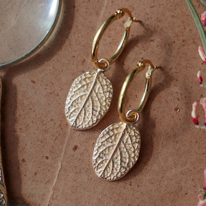 Bronze earrings with real sage leaves, elven earrings, leaf earrings
