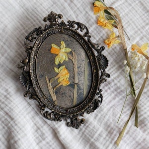Antica cornice di antiquariato con narcisi veri su sfondo decorato in foglia d'oro 22kt