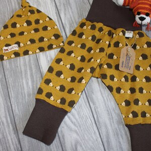 Op de afbeelding: Een set babykleding met een bruine en gele muts en een bruine en gele broek met een egelprint. De broek heeft een bruine elastiek aan de taille en de manchetten. De muts heeft een klein label met de tekst "carlsö".
