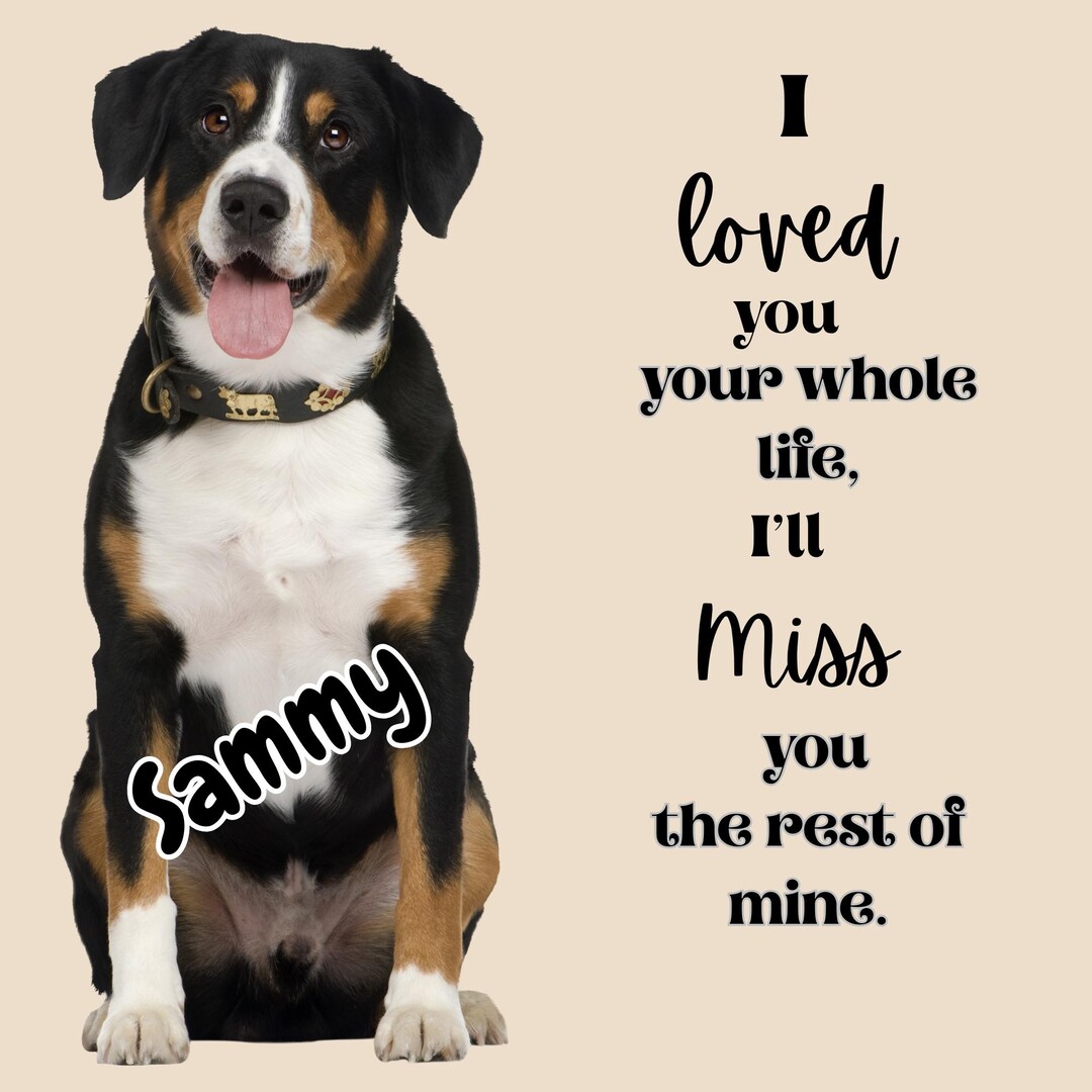 Personalized Pet Memorial Pillow: Custom Photo Keepsake - Dog or Cat - Etsy